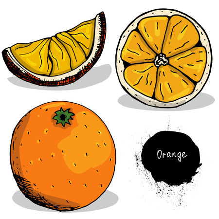 orange Fruits and berries. Growing vitamins. Right meals. Sketch. Hand drawing. Print, for T-shirts. For design.のイラスト素材