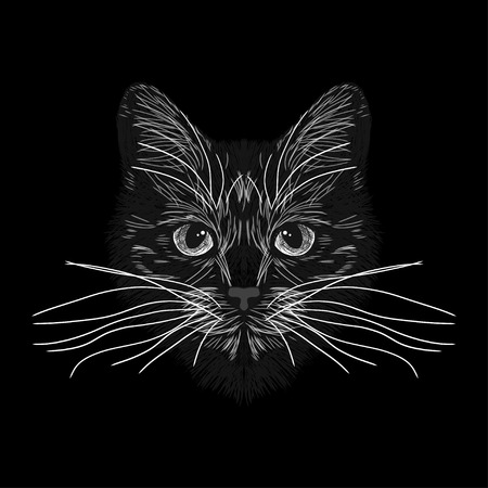 The cat is spotty. Striped. Black and white sketch. Vector graphics. Prints for clothes, T-shirts.のイラスト素材