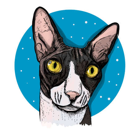 Realistic sketch cat. Sphynx breed. Realistic sketch flower. Tulip. Print for t-shirt, cover. For your use. For your use.のイラスト素材