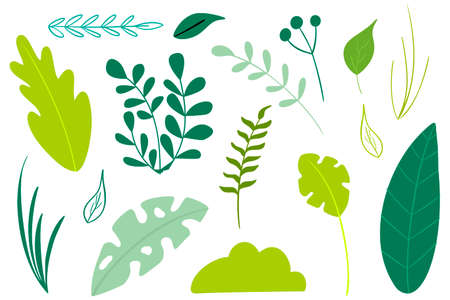 Set of leaves in a modern style. Hand drawing. Isolated on white background. For your design.のイラスト素材