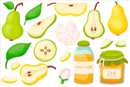 Pear set. Duchess. Delicious and healthy summer fruits. Proper nutrition. Jam. The juice. Vector illustration for your design in flat style.のイラスト素材
