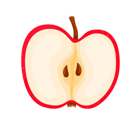 Icon. Apple. Red, ripe apple. Vector illustration in modern flat style. The concept of proper nutrition. Fruits.のイラスト素材