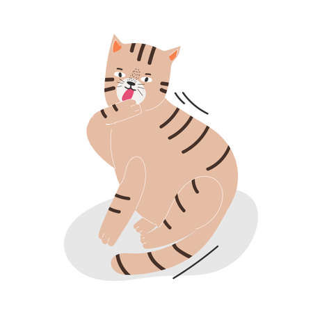 Cute cat in different poses isolated on white background in modern flat style. Animals.のイラスト素材