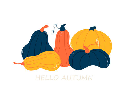 Pumpkin. Doodle. Hand drawing. Vector illustration in modern style. Festive pumpkin. Autumn vegetable.のイラスト素材