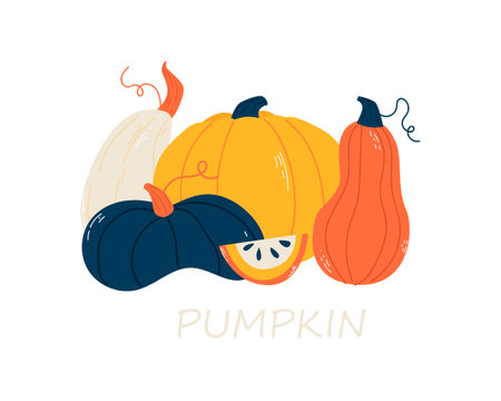 Pumpkin. Doodle. Hand drawing. Vector illustration in modern style. Festive pumpkin. Autumn vegetable.のイラスト素材