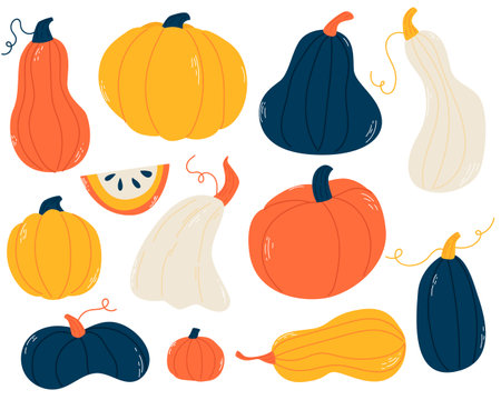 Pumpkin set. Doodle. Hand drawing. Vector illustration in modern style. Festive pumpkin. Autumn vegetable.のイラスト素材