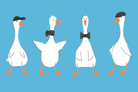 Goose. cute character. A cheeky bird. Frowning. Vector illustration. For printing on postcards, for your use.のイラスト素材