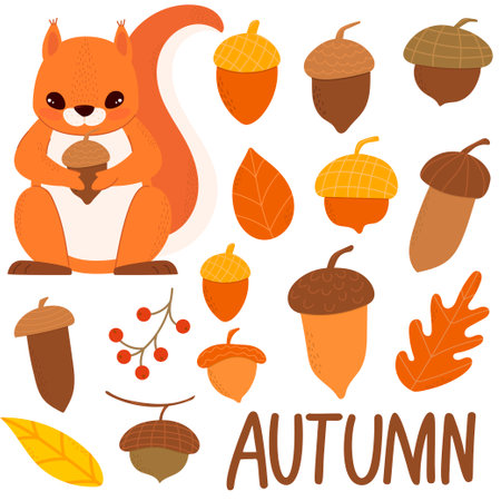 Set of squirrels and acorns. Autumn theme. Autumn forest. For your design.のイラスト素材