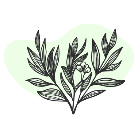 luxury flowers and logo. Trendy botanical elements. Hand drawn line leaves branches and blooming. Wedding elegant wildflowers for invitation save the date card. Vectorのイラスト素材