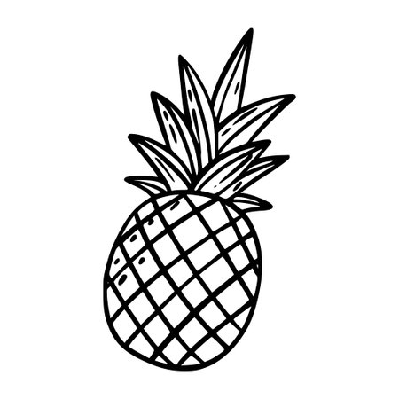 A pineapple. Doodle icon on white background.のイラスト素材