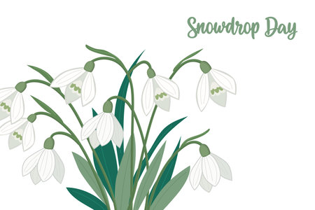 A white flower arrangement with a green stemのイラスト素材