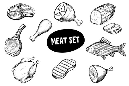 A collection of various types of meat including chicken, beef, pork, and fish. The meats are illustrated in a sketch styleのイラスト素材