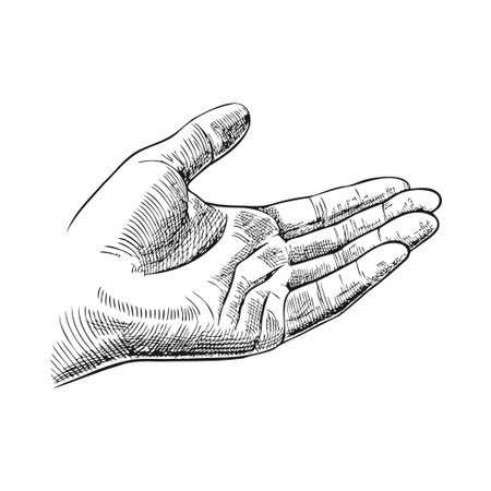 A detailed sketch of an open human hand, palm facing up. The hand is depicted with realistic lines and shading, showcasing the structure and features of the fingers and palm.のイラスト素材