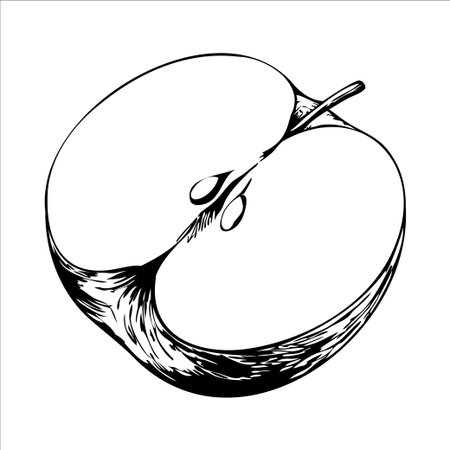 A detailed illustration of a halved apple, showcasing its seeds and texture. The apple is depicted in black and white, emphasizing its shape and internal structure.のイラスト素材