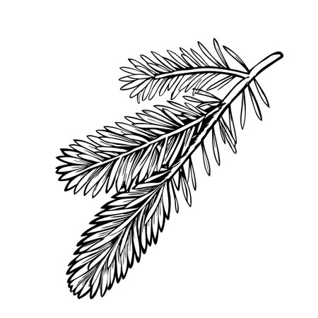 A detailed illustration of a pine branch with needle-like leaves. The design showcases the natural texture and structure of the foliage.のイラスト素材