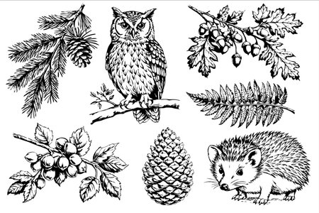 A collection of black and white illustrations featuring an owl, hedgehog, pine cone, and various leaves and acorns. The style is detailed and vintage-inspired.のイラスト素材