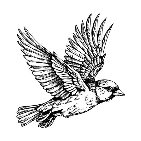 A detailed illustration of a flying bird with outstretched wings. The bird has a small body and a distinct beak, showcasing intricate feather patterns.のイラスト素材