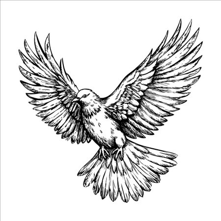 A detailed sketch of a bird in flight, showcasing its wings spread wide. The bird has a rounded body and a distinct beak, emphasizing its graceful movement.のイラスト素材