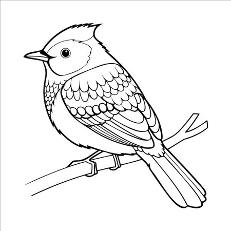 A detailed line drawing of a small bird perched on a branch. The bird has a rounded body, short beak, and intricate feather patterns.のイラスト素材