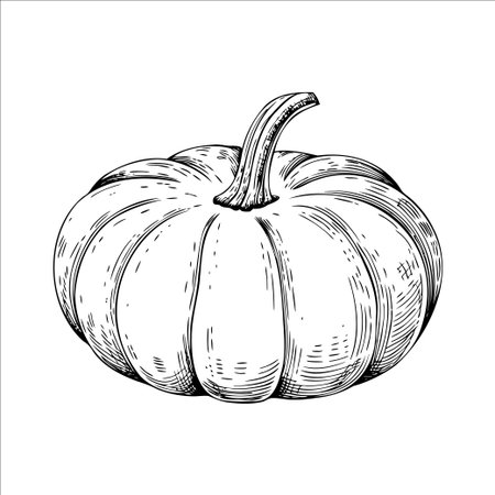 A detailed illustration of a pumpkin with a curved stem. The pumpkin has a round shape and distinct ridges, showcasing its texture and natural features.のイラスト素材