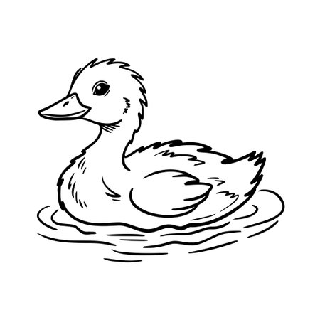 Black and white outline illustration of a cute duckling swimming in water, suitable for a childrens coloring book pageのイラスト素材