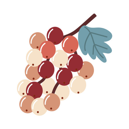 A colorful flat vector illustration of a bunch of grapes or berries on a vine ideal for food and harvest themesのイラスト素材