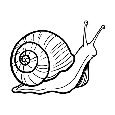 Black and white outline illustration of a garden snail, suitable for a childrens coloring book page or nature design elementのイラスト素材