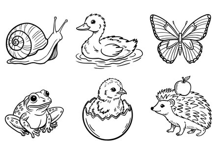 Set of outline illustrations of baby animals including snail, ducklings, and butterflies, for coloring book or silhouette design elementsのイラスト素材