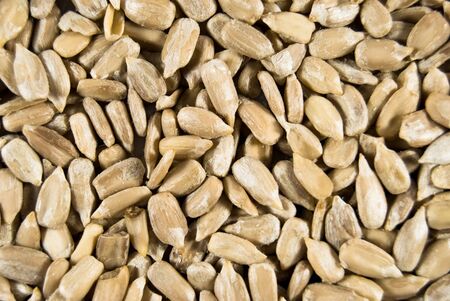 background from refined sunflower seeds close-upの写真素材