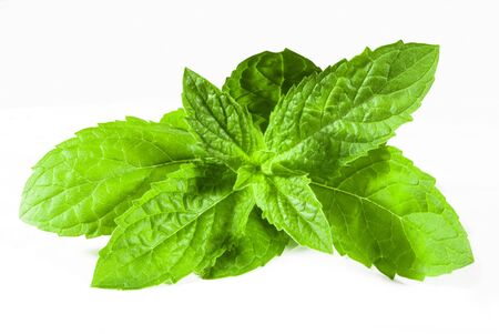 Green spearmint macro closeup isolated over white