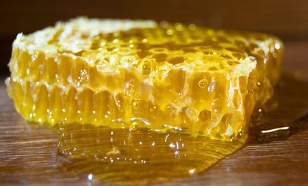 yellow  with cell close-up pour on honeycomb の写真素材
