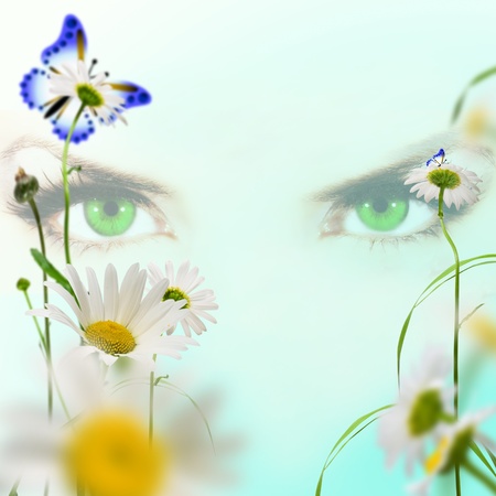 green eves on blue background with white daisywheels and butterflyの写真素材