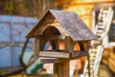 Wood feeger for birds in bright sun shiningの写真素材
