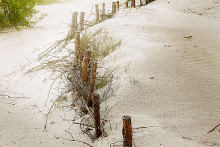 Sand dunes and silence in sunny dayの写真素材