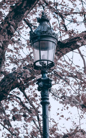 Nice lantern in park at autumn cloudy dayの写真素材