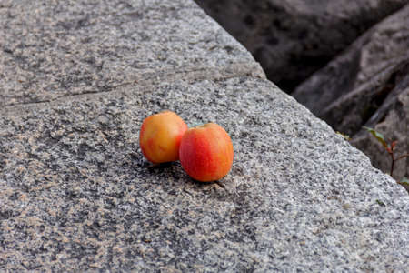Nice red apples on granite parapet at cloudy day
