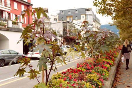 October, 6, 2013, waterfront in Vevey, Switzerland, at light autumn dayのeditorial素材