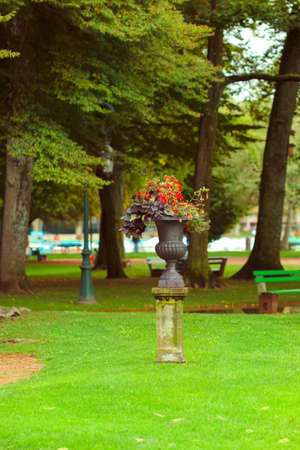 Nice old pot in red flowers in park at dayの写真素材
