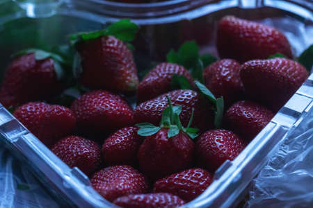 Fresh ripe large strawberries at dusk for eatingの写真素材