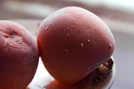 Nice thawed big orange persimmon in shadowsの写真素材