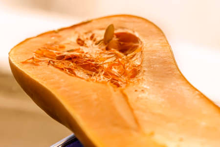 Fresh long ripe red pumpkin cut at dayの写真素材