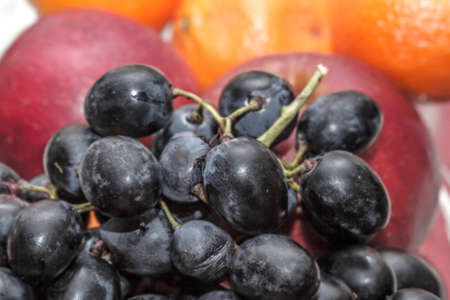 Big fresh large dark grape for eatingの写真素材