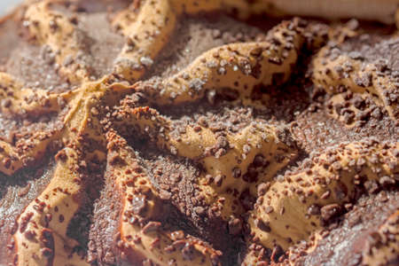 Beauty big chocolate ice cream large sunlightの写真素材