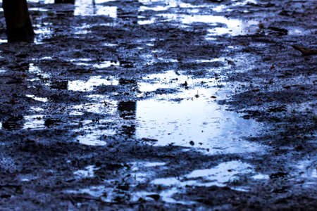 Slush and mud on road at cloudy eveningの写真素材