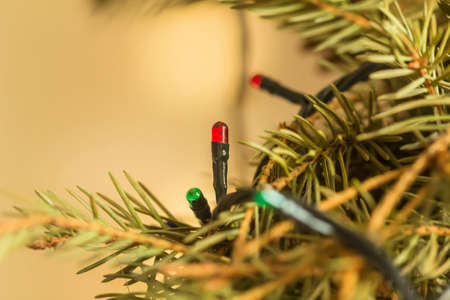 Christmas garland on tree for holiday good moodの写真素材