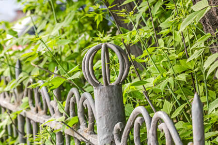 Old metal fence fence painted in gray at green bushesの写真素材