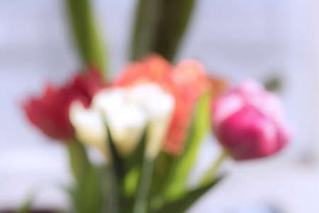 Bouquet of tulips defocused in red and orange coloursの写真素材