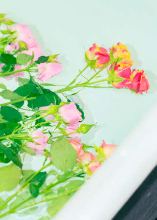 Red and pink roses floating in bathの写真素材