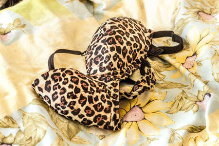 Nice bra with leopard print is lying on bed