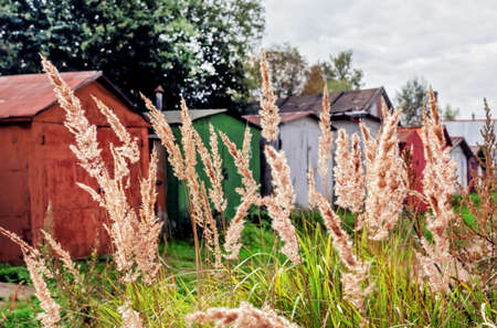 Dry grass on background of old multi-colored garages